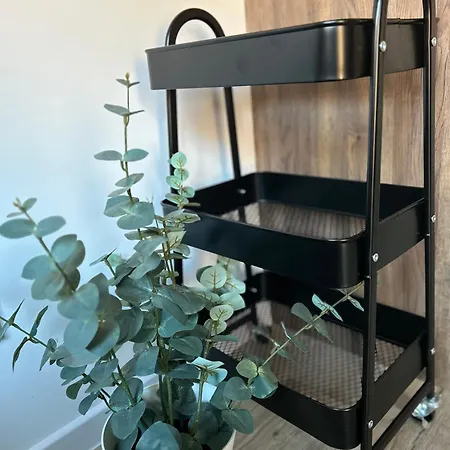 Appartement Blue A, Debina