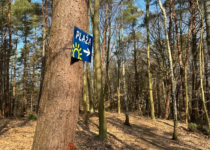 Blue A, Debina * Debina (Ustka)